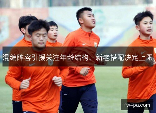 混编阵容引援关注年龄结构，新老搭配决定上限
